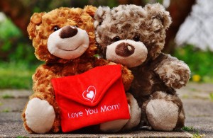 teddy-1338928_1920